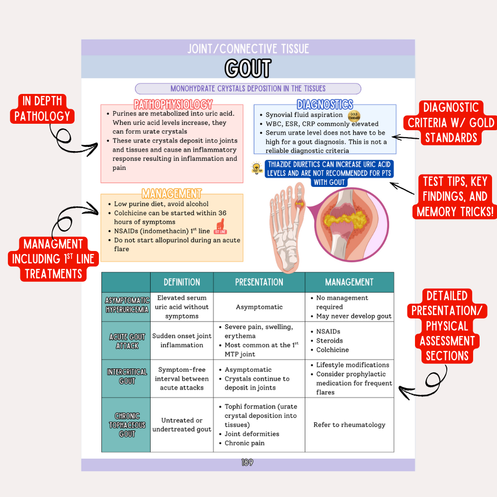 The Family Nurse Practitioner School Guide