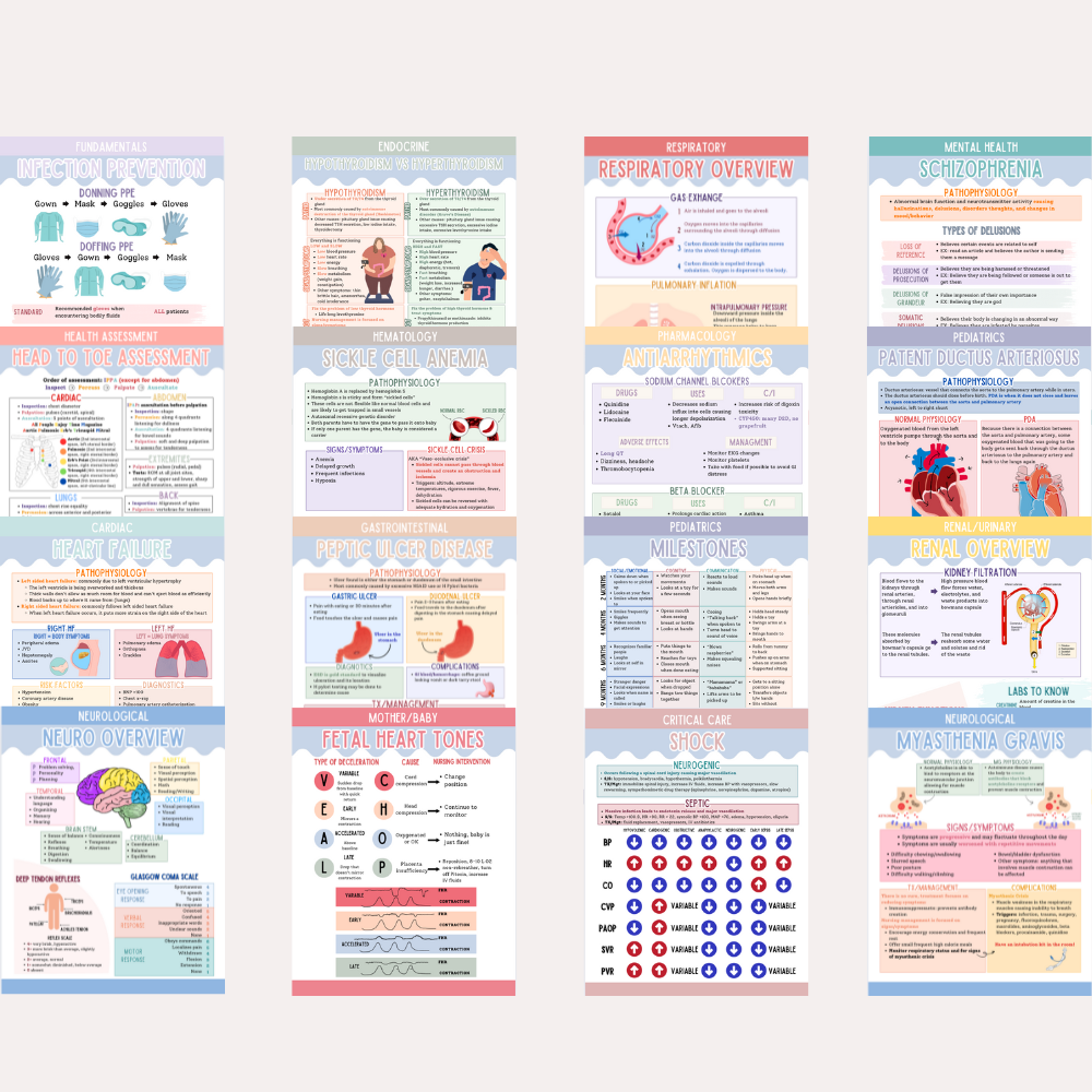 The Nursing School Guide | Nursing School Study Guide | Nursing School Reference Guide