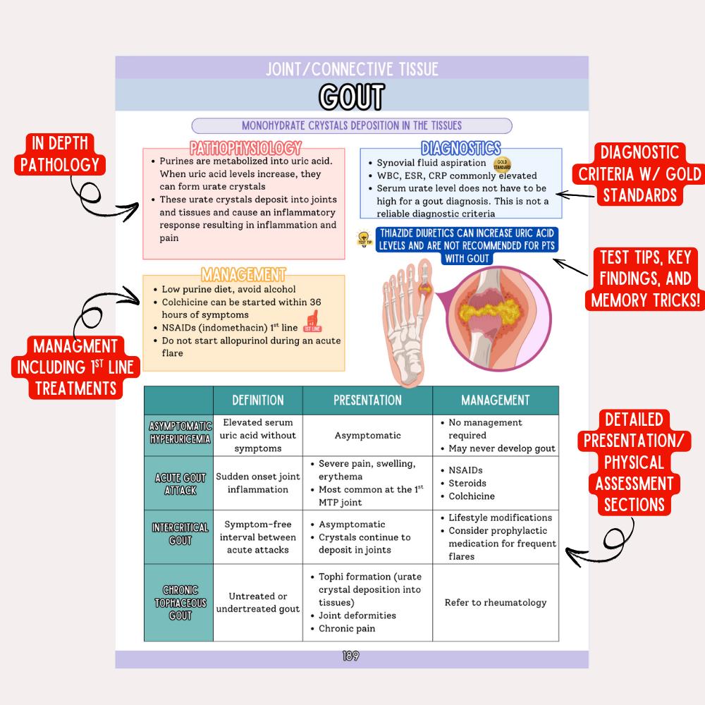 The Family Nurse Practitioner School Guide | FNP School Guide | Family Nurse Practitioner Study Guide | FNP Boards Prep